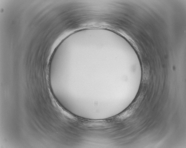 X0000061731486200512302133