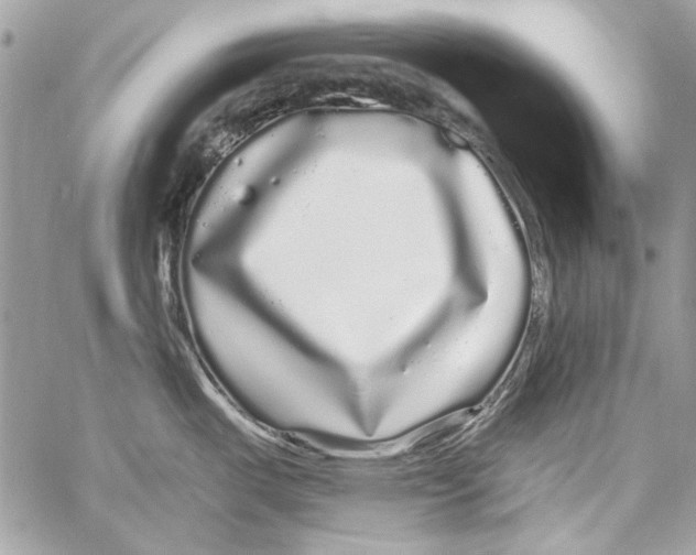 X0000061731487200512302133