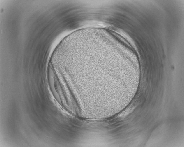 X0000061731488200512302133