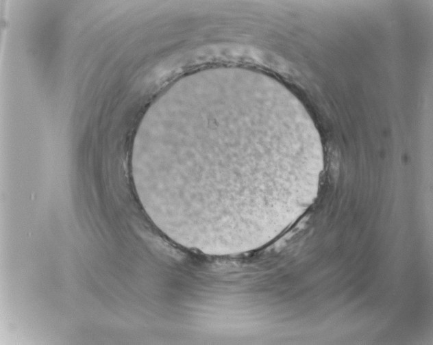 X0000061731489200512302132