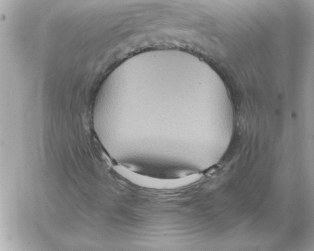 X0000061731490200512302132