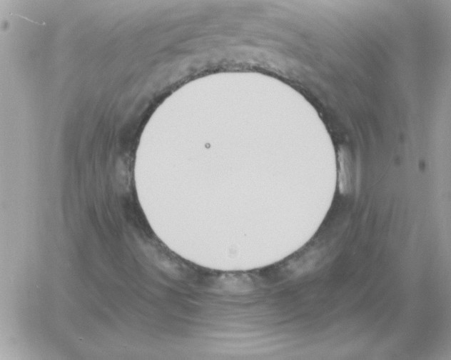 X0000061731491200512302132