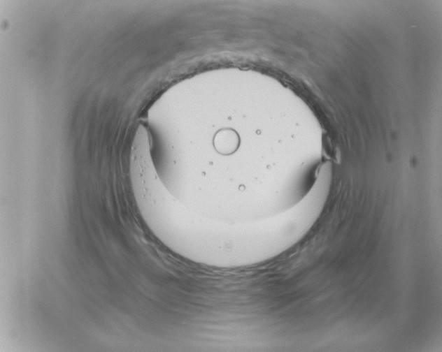 X0000061731492200512302132