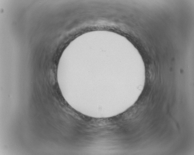 X0000061731493200512302132