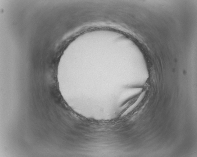 X0000061731494200512302132