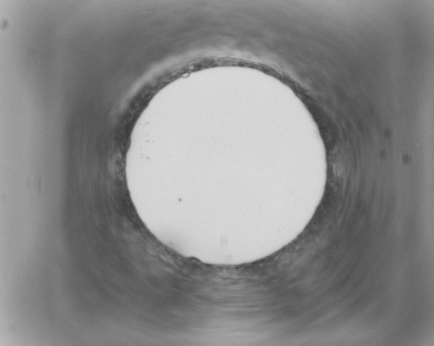 X0000061731495200512302132