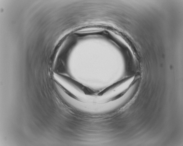 X0000061731497200512302132