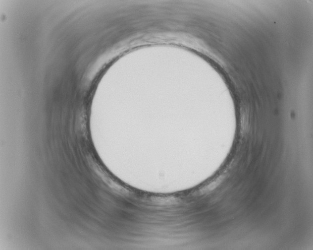 X0000061731498200512302132