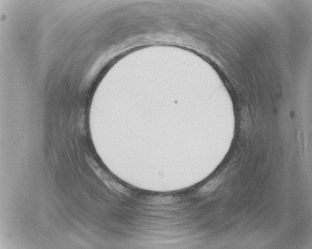 X0000061731499200512302132