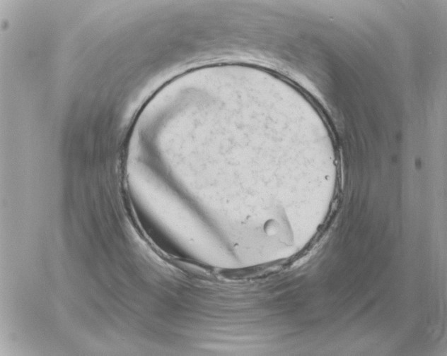 X0000061731500200512302132