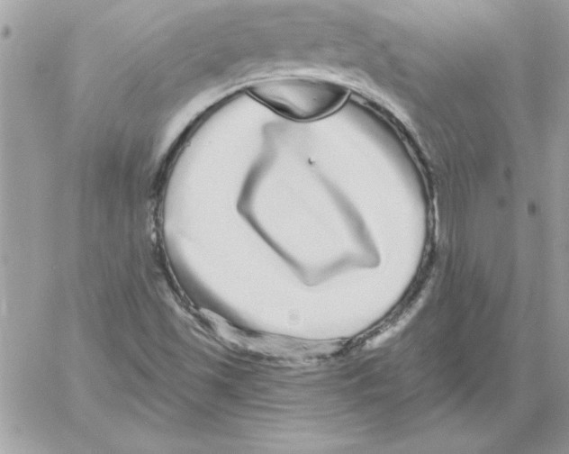 X0000061731501200512302132