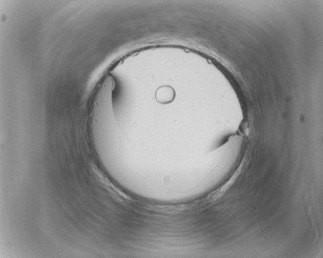 X0000061731502200512302132