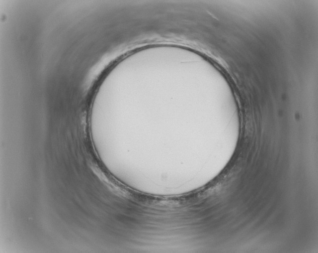 X0000061731503200512302132