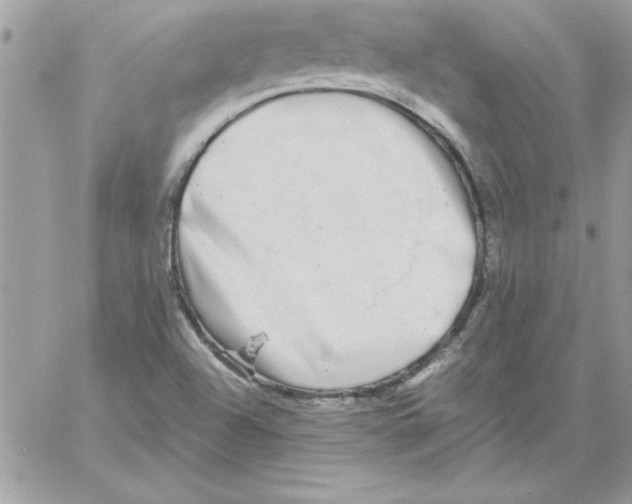 X0000061731504200512302132