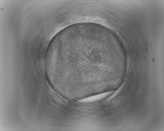 X0000061731505200512302132