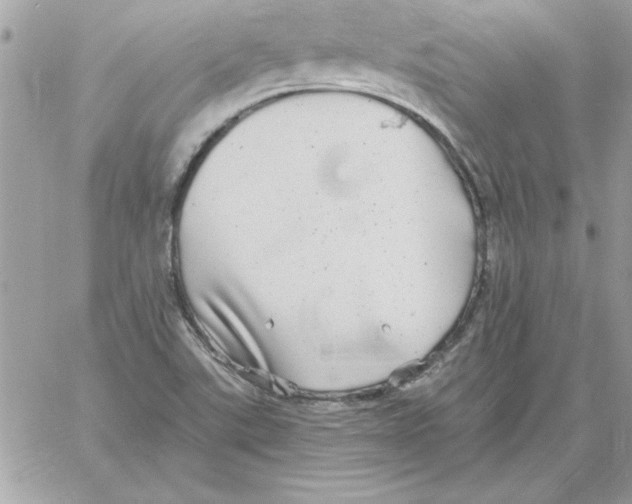 X0000061731507200512302132