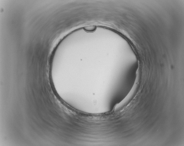 X0000061731508200512302132