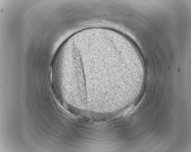 X0000061731509200512302132