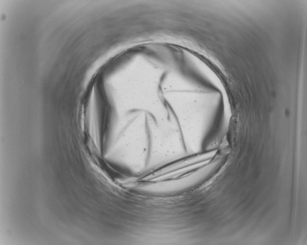 X0000061731510200512302132