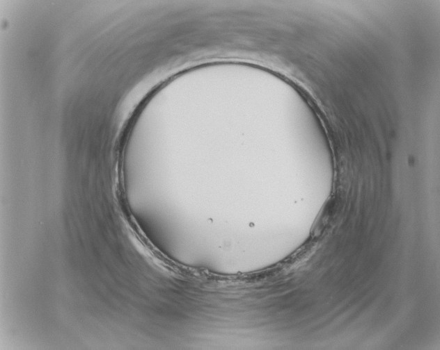 X0000061731511200512302132