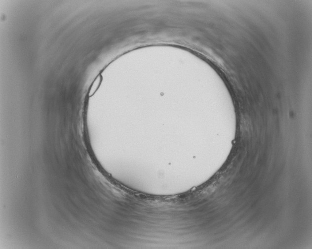 X0000061731512200512302132