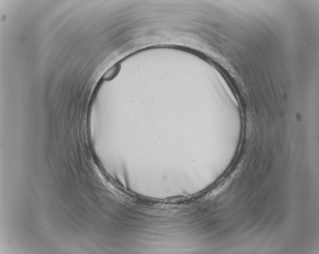 X0000061731513200512302132