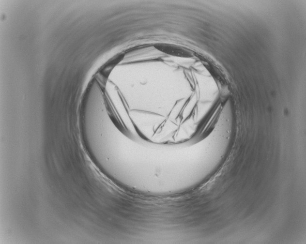 X0000061731514200512302132