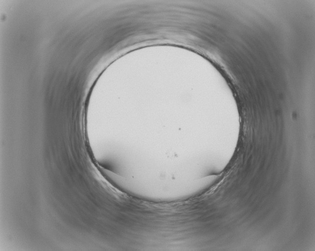 X0000061731516200512302132