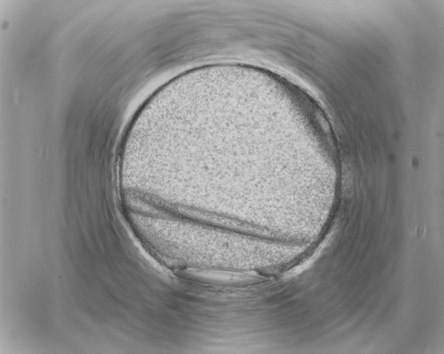 X0000061731517200512302132