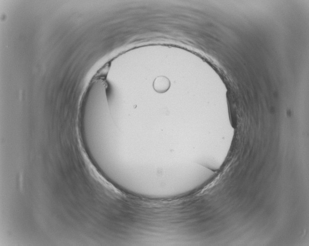 X0000061731518200512302132