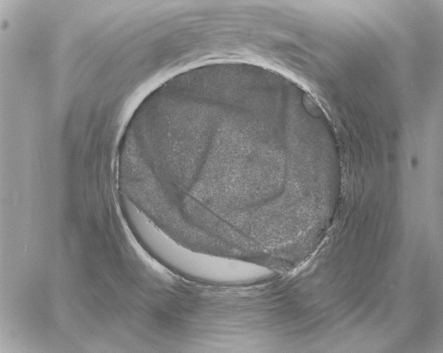 X0000061731519200512302132