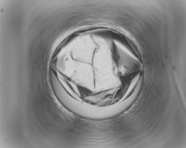 X0000061731520200512302132