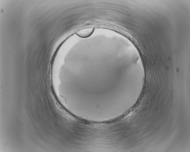 X0000061731522200512302132