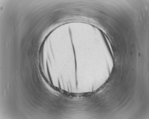 X0000061731523200512302132