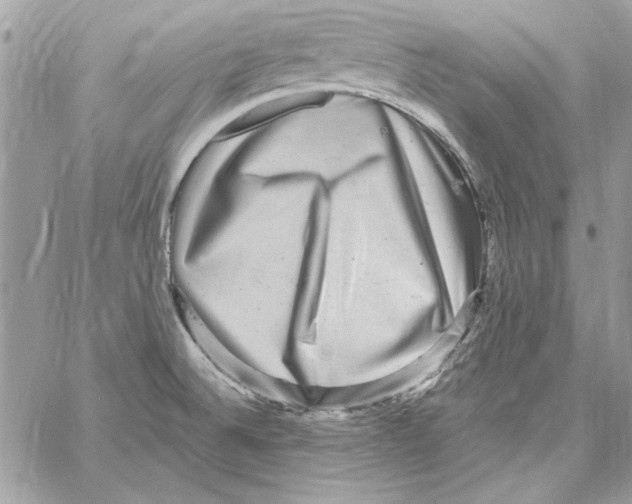 X0000061731524200512302132