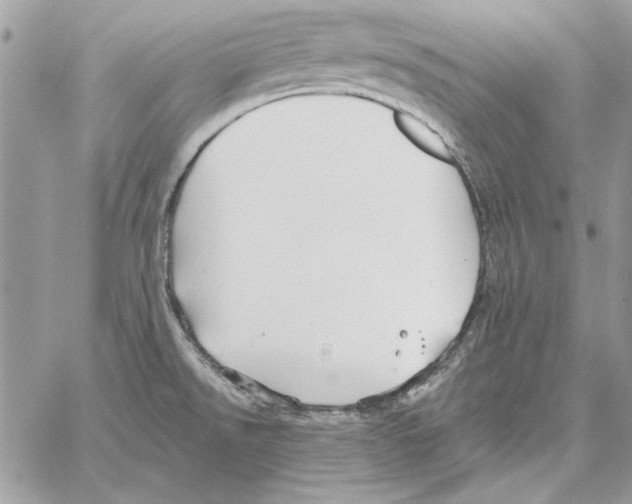 X0000061731526200512302132