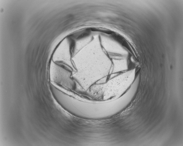 X0000061731527200512302132