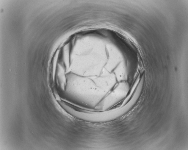 X0000061731528200512302132