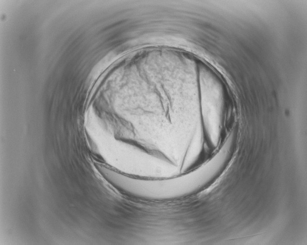 X0000061731529200512302132