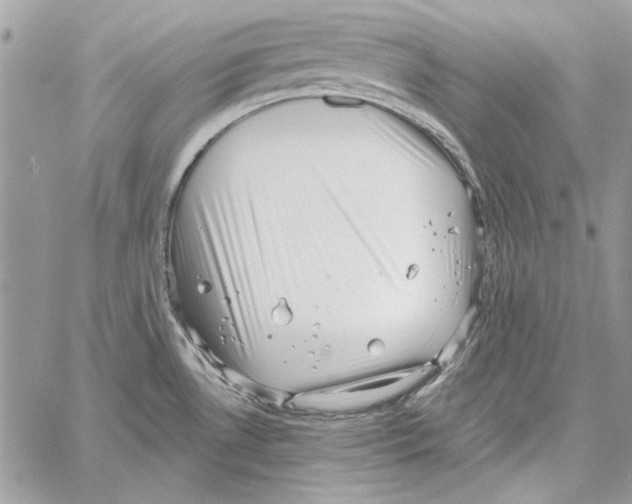 X0000061731530200512302132