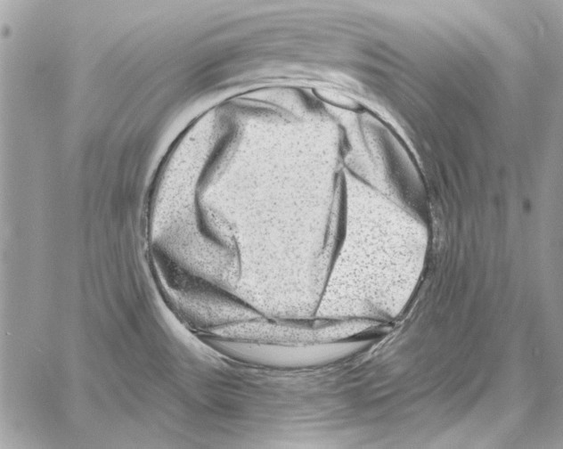 X0000061731531200512302132