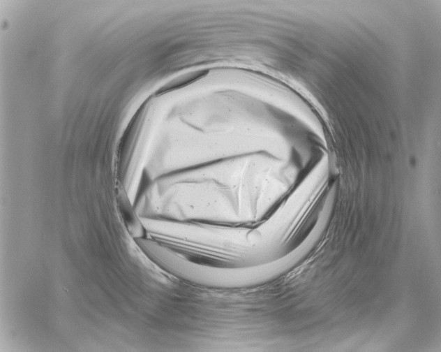 X0000061731532200512302132