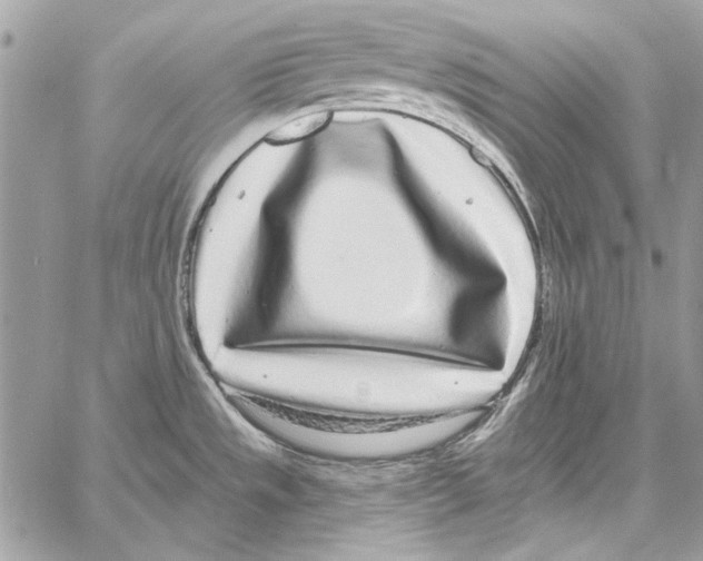 X0000061731533200512302133