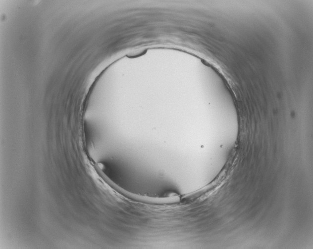 X0000061731534200512302133