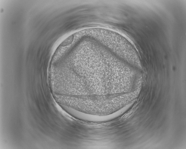 X0000061731535200512302133