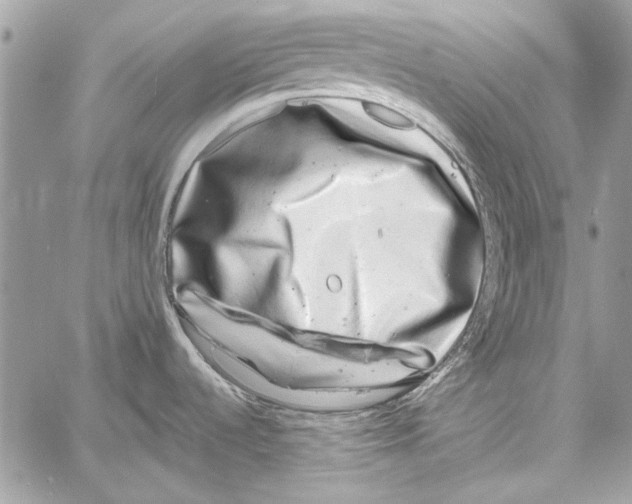 X0000061731536200512302133