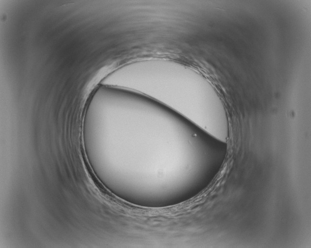 X0000061740003200512021052