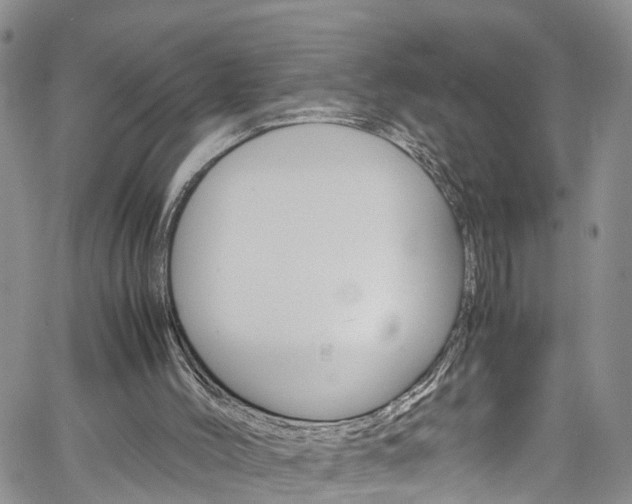 X0000061740004200512021052