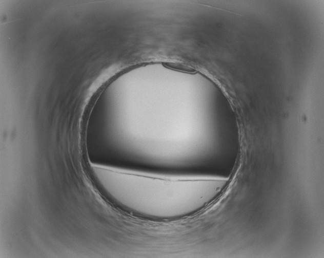 X0000061740008200512021052