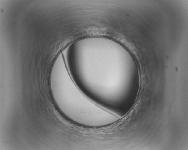 X0000061740009200512021052